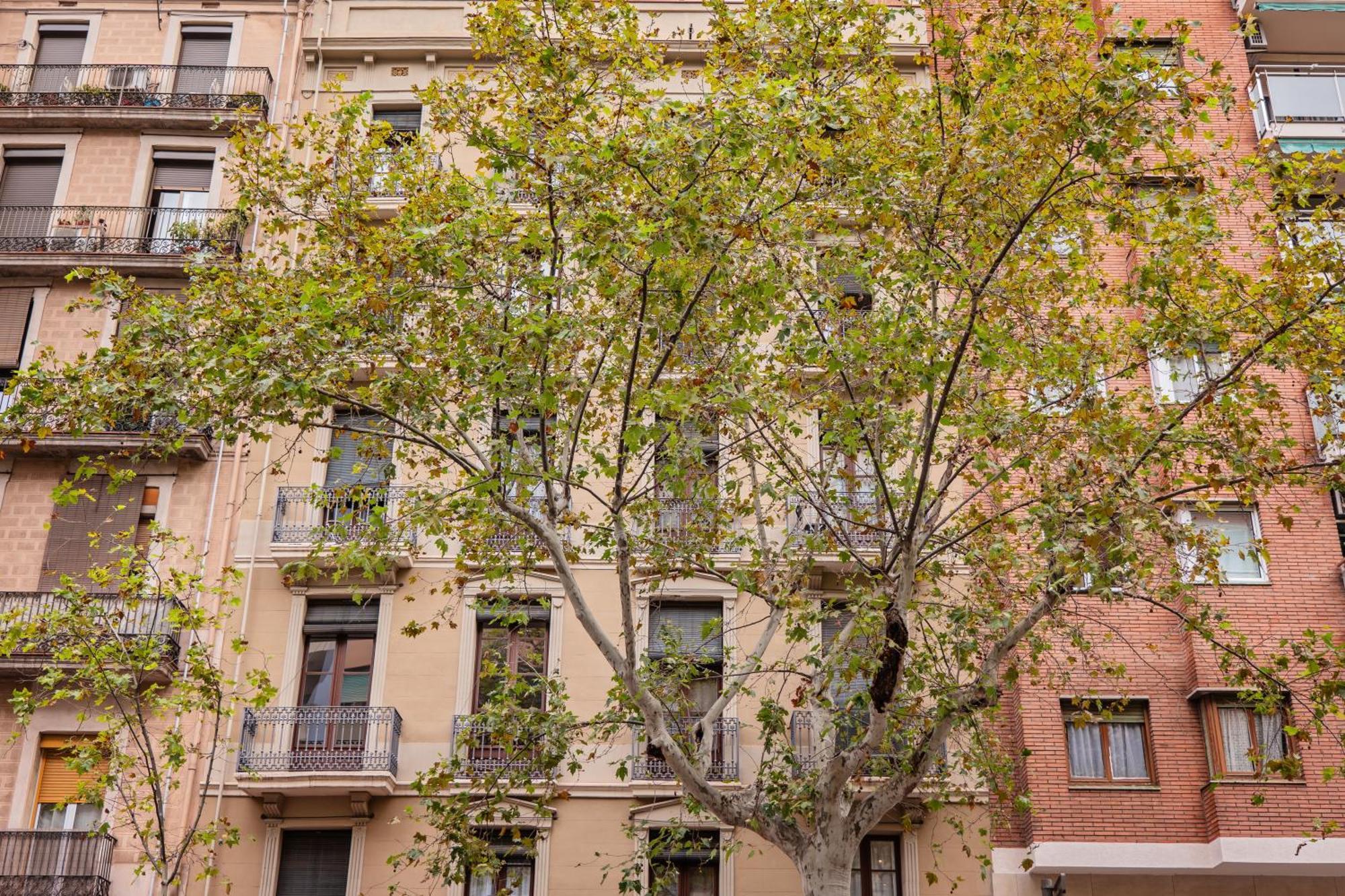 Sweett - Urgell Eixample Apartment Barcelona Exterior photo